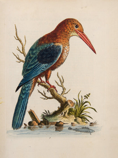A handsome set of one of the most important of all bird books, George Edwards' Natural History of Uncommon Birds with Gleanings of Natural History, 1743-1806.