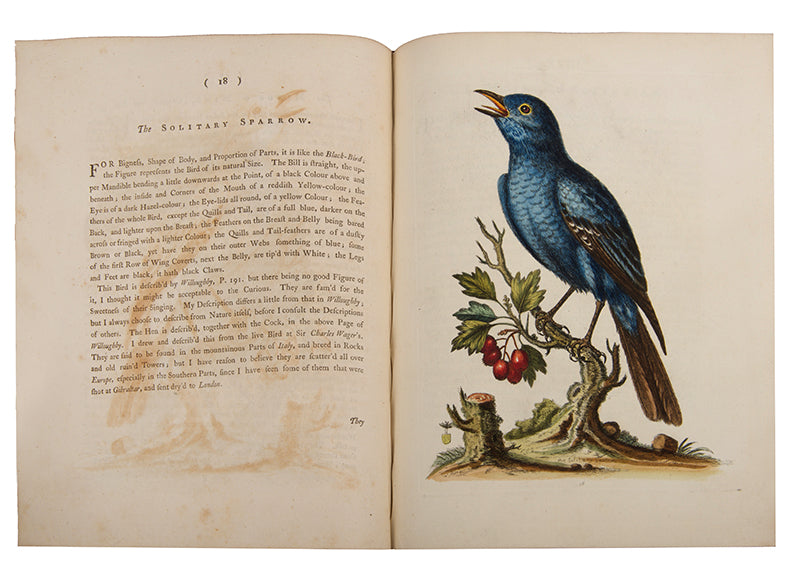 A handsome set of one of the most important of all bird books, George Edwards' Natural History of Uncommon Birds with Gleanings of Natural History, 1743-1806.