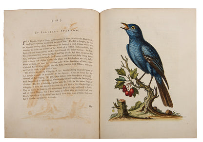 A handsome set of one of the most important of all bird books, George Edwards' Natural History of Uncommon Birds with Gleanings of Natural History, 1743-1806.