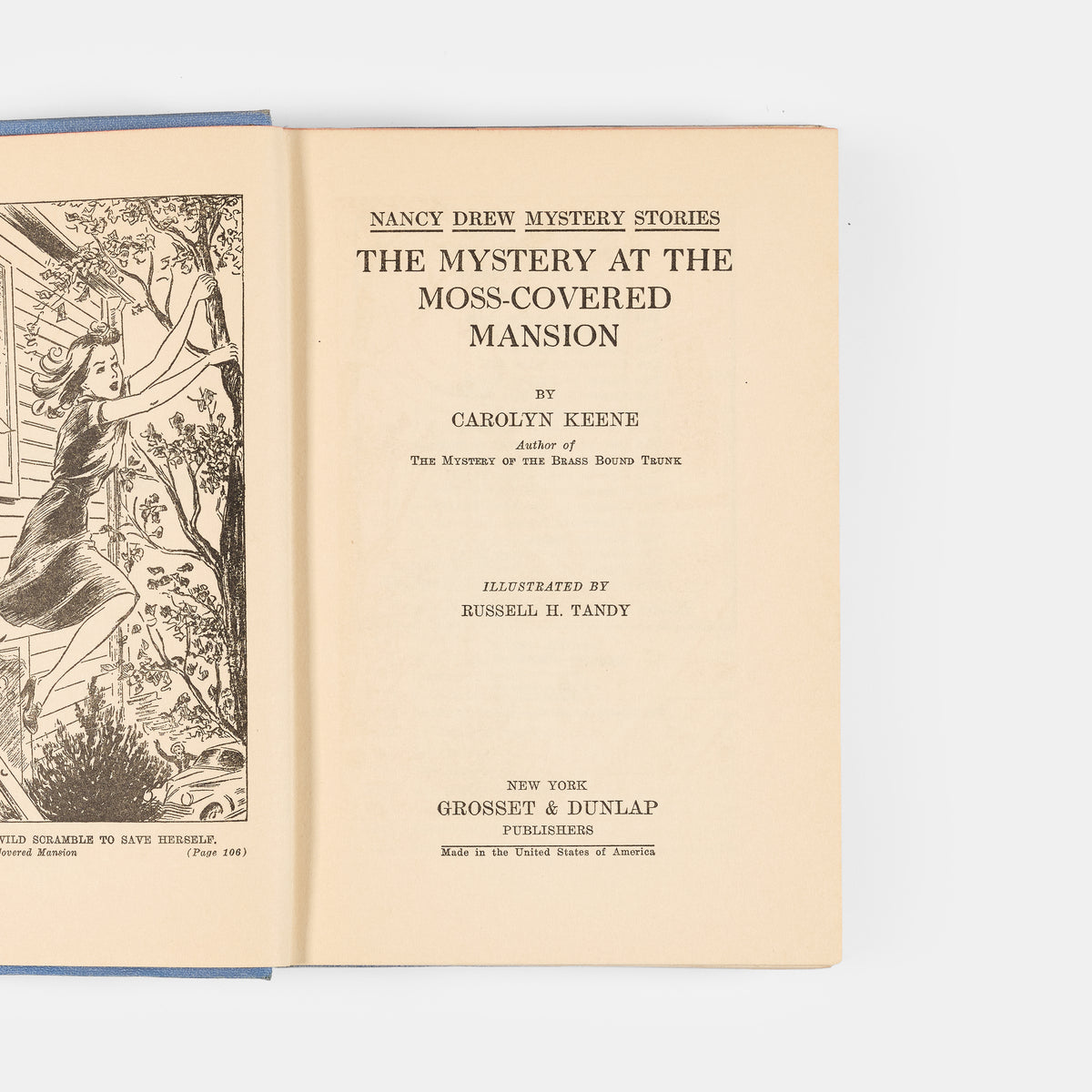 The Mystery at the Moss-Covered Mansion.