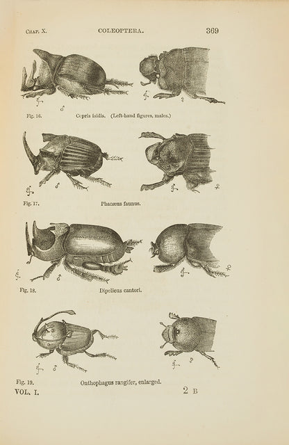 The first edition, first issue of Charles Darwin's Descent of Man, the first appearance of the word evolution in his published works. A very attractive copy in the original cloth.