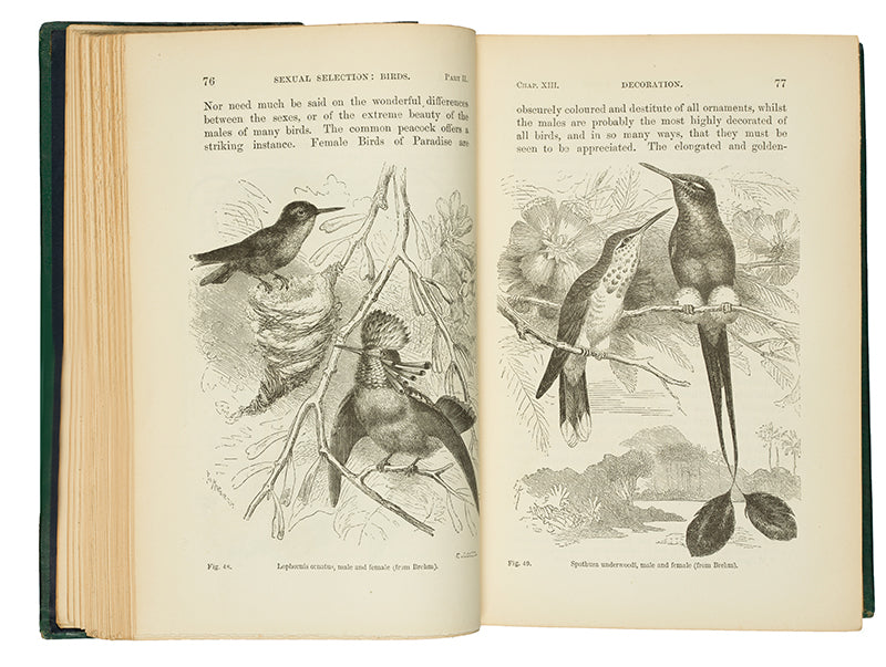 The first edition, first issue of Charles Darwin's Descent of Man, the first appearance of the word evolution in his published works. A very attractive copy in the original cloth.