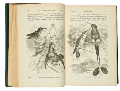 The first edition, first issue of Charles Darwin's Descent of Man, the first appearance of the word evolution in his published works. A very attractive copy in the original cloth.