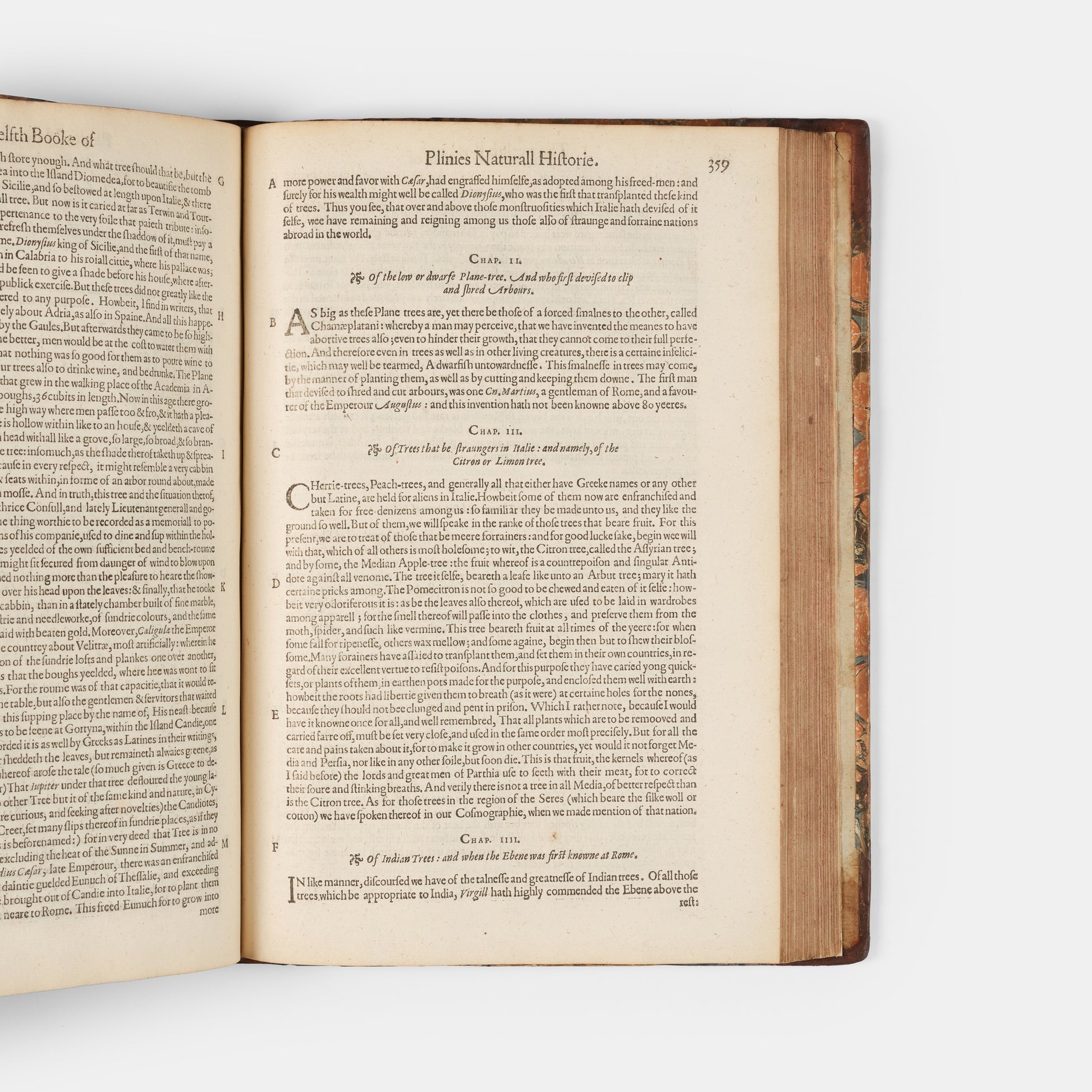 First edition in English of Pliny's Natural History, translated by Philemon Holland.