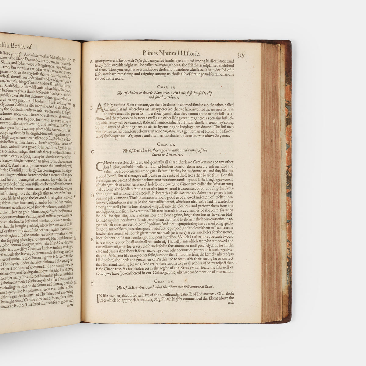 First edition in English of Pliny's Natural History, translated by Philemon Holland.