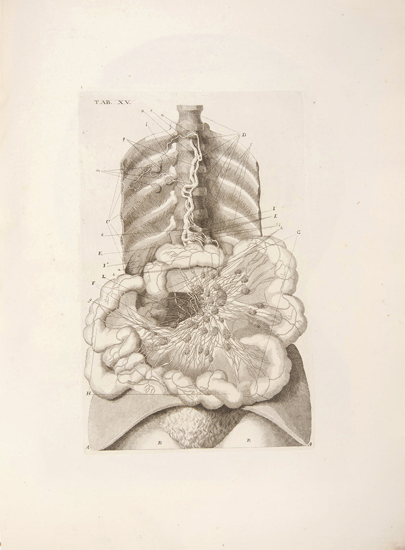 First edition of Paulo Mascagni's groundbreaking anatomical atlas of the lymphatic system, Vasorum Lymphaticorum Corporis Humani, published in 1787.