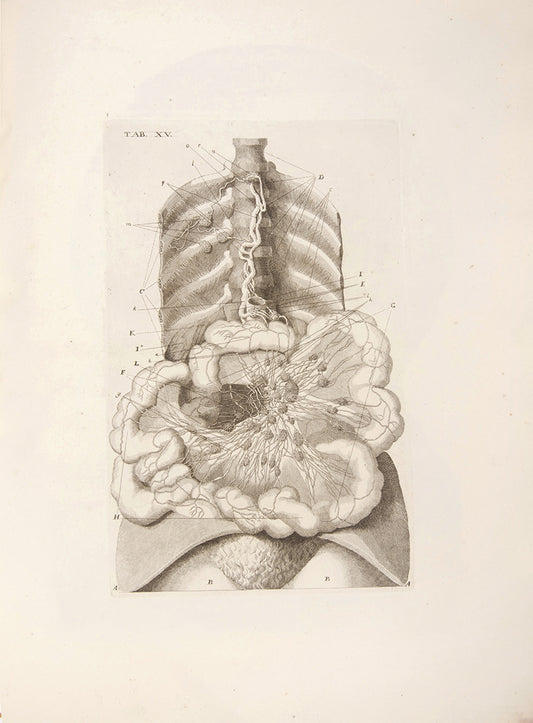 First edition of Paulo Mascagni's groundbreaking anatomical atlas of the lymphatic system, Vasorum Lymphaticorum Corporis Humani, published in 1787.