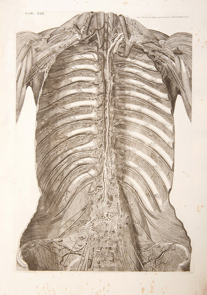 First edition of Paulo Mascagni's groundbreaking anatomical atlas of the lymphatic system, Vasorum Lymphaticorum Corporis Humani, published in 1787.