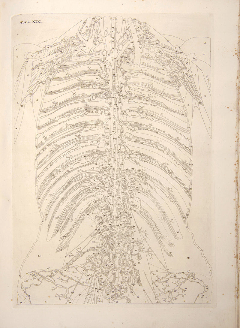 First edition of Paulo Mascagni's groundbreaking anatomical atlas of the lymphatic system, Vasorum Lymphaticorum Corporis Humani, published in 1787.