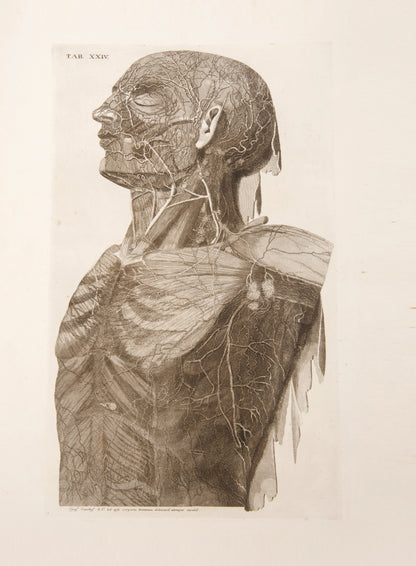 First edition of Paulo Mascagni's groundbreaking anatomical atlas of the lymphatic system, Vasorum Lymphaticorum Corporis Humani, published in 1787.