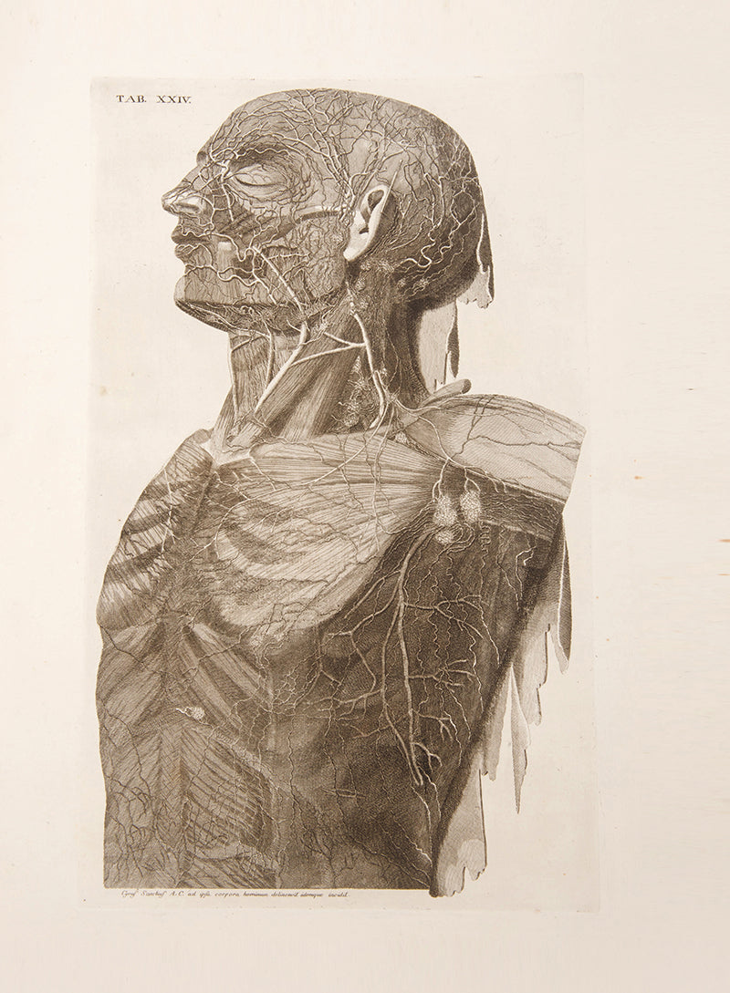 First edition of Paulo Mascagni's groundbreaking anatomical atlas of the lymphatic system, Vasorum Lymphaticorum Corporis Humani, published in 1787.