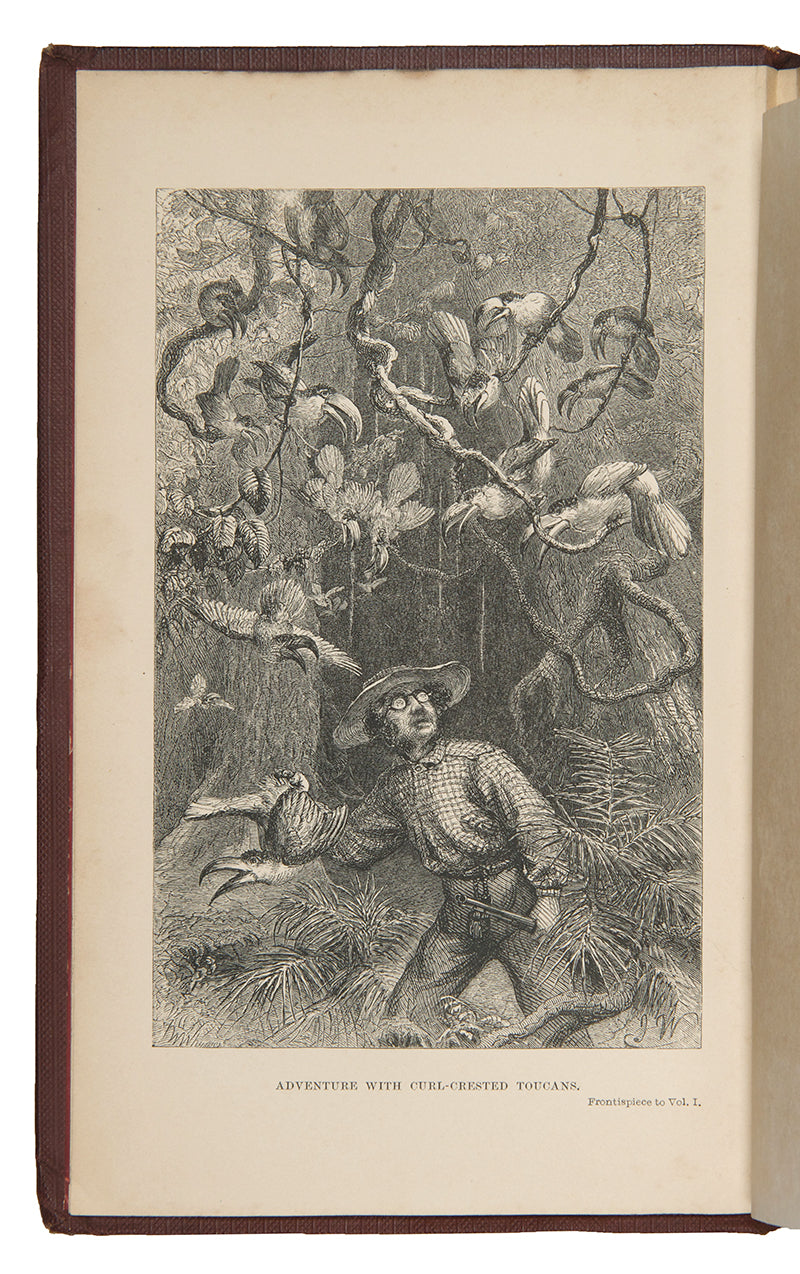 First edition of naturalist Henry Walter Bates's The Naturalist on the Rivers Amazon, a major contribution to the literature of Amazonia by a supporter of Charles Darwin.