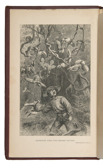 First edition of naturalist Henry Walter Bates's The Naturalist on the Rivers Amazon, a major contribution to the literature of Amazonia by a supporter of Charles Darwin.