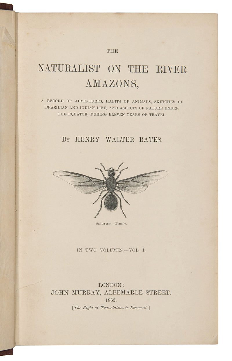 First edition of naturalist Henry Walter Bates's The Naturalist on the Rivers Amazon, a major contribution to the literature of Amazonia by a supporter of Charles Darwin.