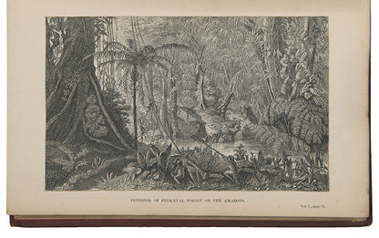 First edition of naturalist Henry Walter Bates's The Naturalist on the Rivers Amazon, a major contribution to the literature of Amazonia by a supporter of Charles Darwin.