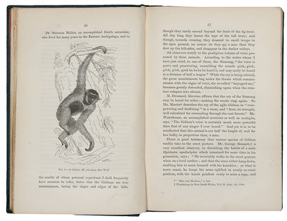 First edition, first issue of Thomas Henry Huxley's Evidence as to Man's Place in Nature, the first book to apply Darwinian evolution to humanity.