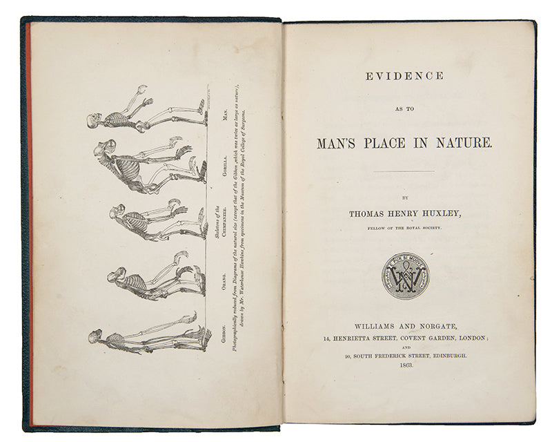 First edition, first issue of Thomas Henry Huxley's Evidence as to Man's Place in Nature, the first book to apply Darwinian evolution to humanity.