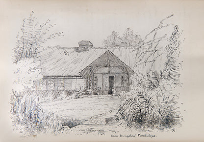 A vivid album of the colonial life of Astley Herbert Terry in Ceylon (Sri Lanka) at the turn of the century, with copious amounts of drawings, ephemera, letters, and photographs accompanying an exhaustive narrative of official life.