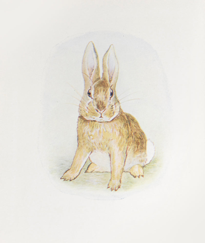 A good, clean copy of The Story of a Fierce Bad Rabbit, first edition in book form, by Beatrix Potter, with 16 colour plates, 2 more than previously  seen in the panorama