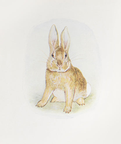 A good, clean copy of The Story of a Fierce Bad Rabbit, first edition in book form, by Beatrix Potter, with 16 colour plates, 2 more than previously  seen in the panorama