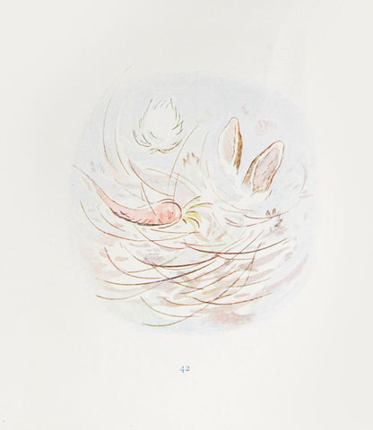 A good, clean copy of The Story of a Fierce Bad Rabbit, first edition in book form, by Beatrix Potter, with 16 colour plates, 2 more than previously  seen in the panorama
