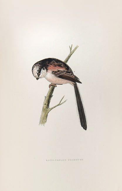 Fourth edition of Francis Orpen Morris's The History of British Birds, the classic standard text on British birds.