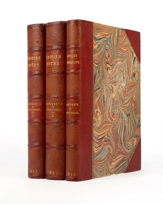 A handsomely bound set of John Obadiah Westwood's British Butterflies and British Moths, the classic colour-plate work on the subject.