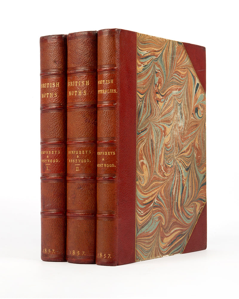 A handsomely bound set of John Obadiah Westwood's British Butterflies and British Moths, the classic colour-plate work on the subject.
