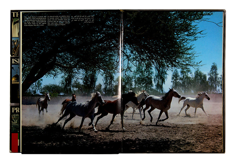First edition of this celebration of the first seven years of the United Arab Emirates, with text by Peter Hellyer and photographs by Pier Giorgio Sclarandis.
