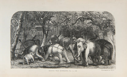 First edition of Ceylon by James Emerson Tennent, a scarce classic survey of Ceylon in the mid-nineteenth-century.
