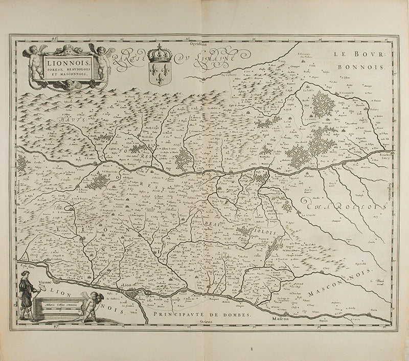 Lionnois, Forest, Beaviolois et Masconnois.