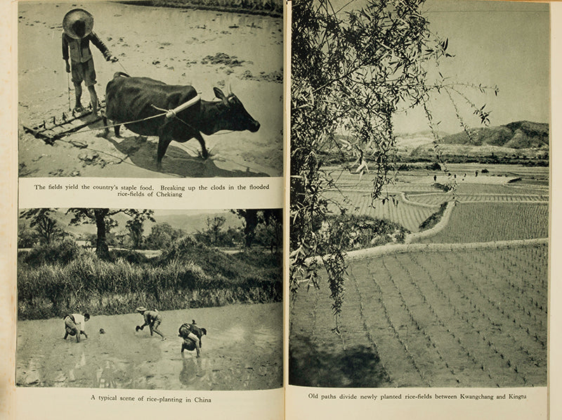First edition of Face to Face with China by Harold Rattenbury, illustrated with photos by Cecil beaton and charts by Otto and Marie Neurath's Isotype Institute.