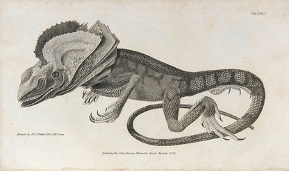 First edition of Narrative of a Survey of the Intertropical and Western Coasts of Australia by Phillip King, in a handsome contemporary binding and with the often missing half titles, errata leaf, and final colophon.