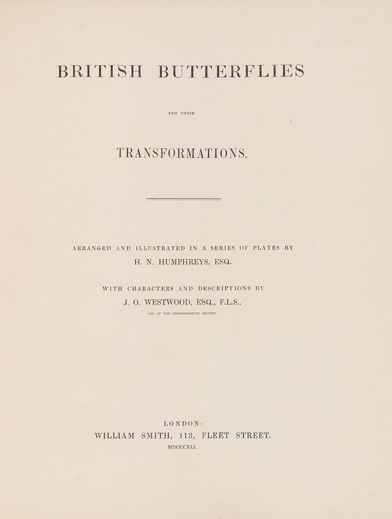 British Butterflies and Their Transformations.