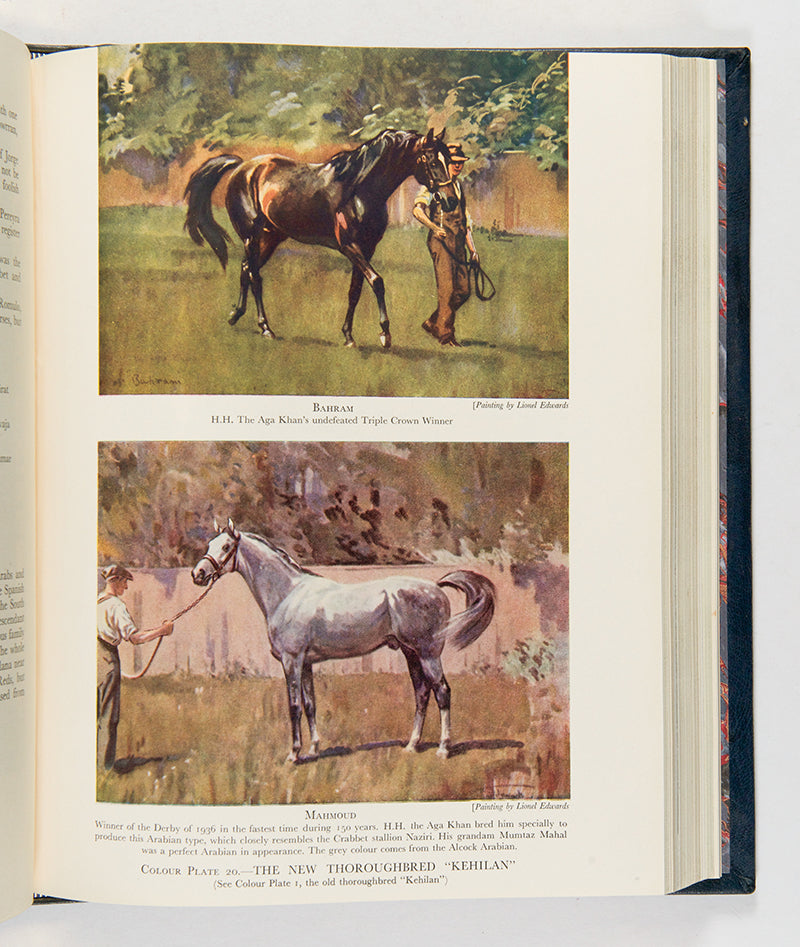 First edition of The Authentic Arabian Horse by Lady Wentworth, one of the foremost influential Arab Horse breeders of the twentieth century.