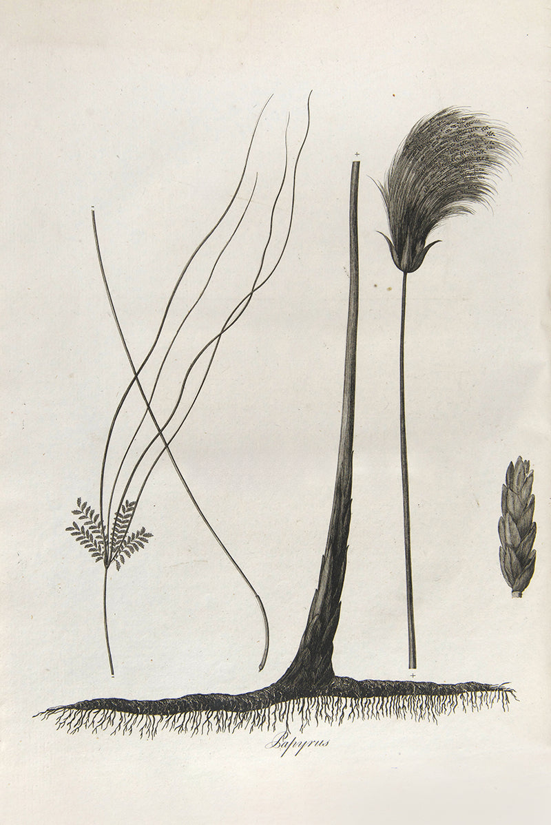 First edition of James Bruce's Travels to Discover the Source of the Nile, a fine set with remarkably clean and bright plates.