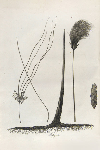First edition of James Bruce's Travels to Discover the Source of the Nile, a fine set with remarkably clean and bright plates.