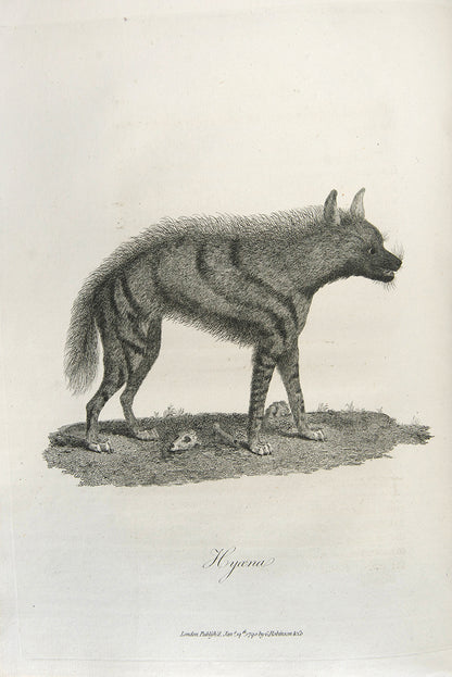 First edition of James Bruce's Travels to Discover the Source of the Nile, a fine set with remarkably clean and bright plates.