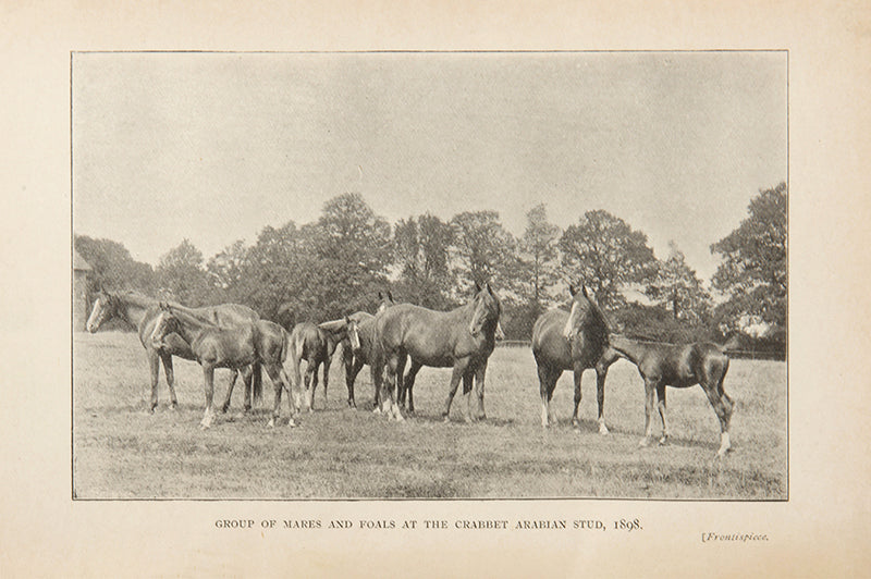 The Horse from Birth to Old Age b Sara Buckman-Linard, a scarce work with 17 illustrations of Arab horses from the Crabbet and Sheykh Obeyd studs. 