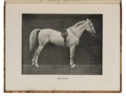 First edition of the first volume of The Arab Horse Stud Book commissioned by the Arab Horse Society, with 12 illustrations of Arab horses.