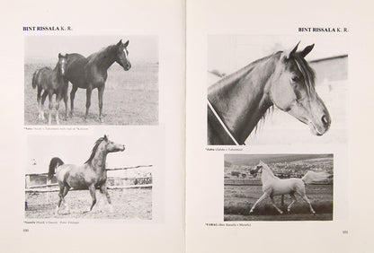 First edition of Arabian Horses of El Zahraa by Erwin Piduch, a scarce work on the Arabian horses in the Egyptian stud 'El Zahraa' with their pedigrees and descendants.
