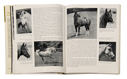 First English edition of The Arab Horse in Europe by Erika Schiele, with a signed letter regarding the breeding of Polish Arab horses.