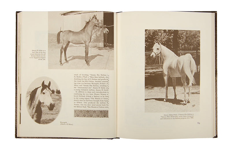 Inscribed presentation copy of The Royal Arabians of Egypt and the Stud of Henry B. Babson by Judith Forbis and Walter Schimanski to Henry Vyvyan Musgrave Clark, the founder of the second Arab Horse Stud in England.