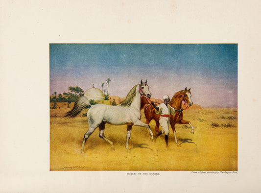 Later issue of The Horse Of The Desert by William Robinson Brown, a famous work on the Arab Horse.
