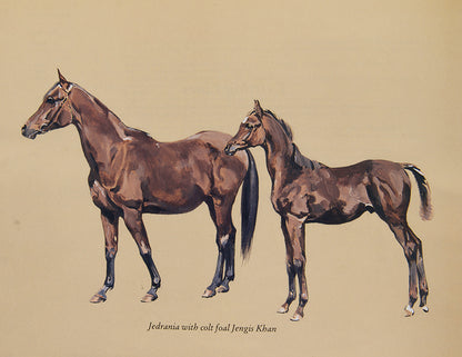 First edition of Peter Upton's The Arab Horse, a history of Arab Horses in Britian and gives a full list of the 78 strains known from those original horses, 56 of which the author has painted.