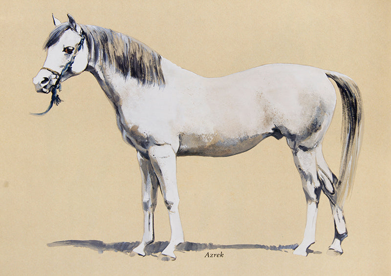 First edition of Peter Upton's The Arab Horse, a history of Arab Horses in Britian and gives a full list of the 78 strains known from those original horses, 56 of which the author has painted.