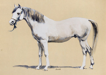 First edition of Peter Upton's The Arab Horse, a history of Arab Horses in Britian and gives a full list of the 78 strains known from those original horses, 56 of which the author has painted.