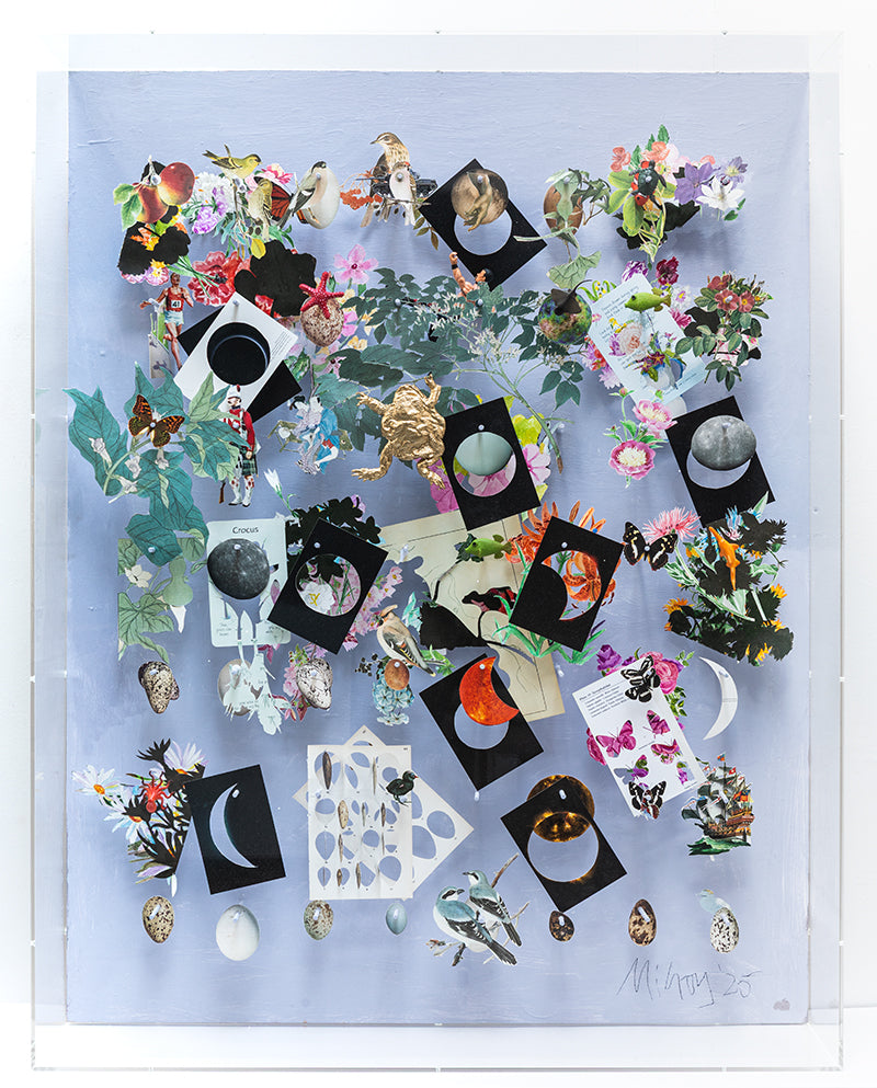 Collage with acrylic by Jack Milroy, titled The Golden Toad.
