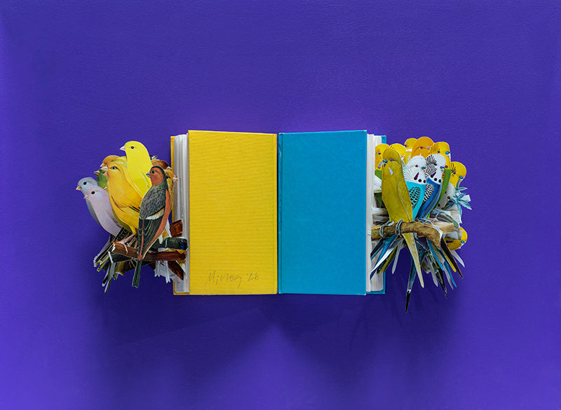 Cut and constructed books in an acrylic case by Jack Milroy, titled Perch IV, 2026. 