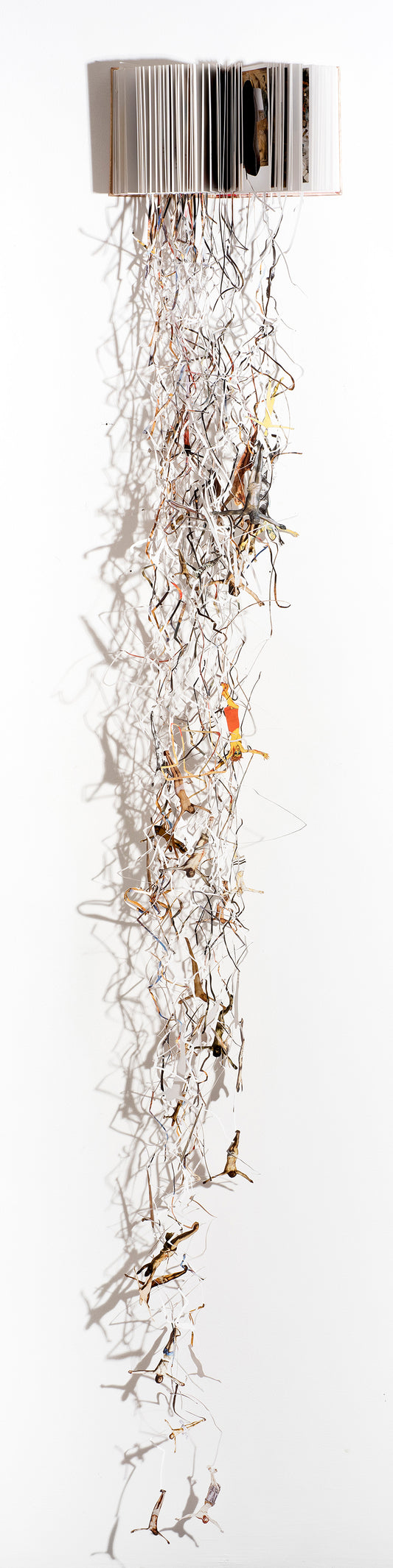 Cut book in an acrylic case by Jack Milroy, titled DIVinE